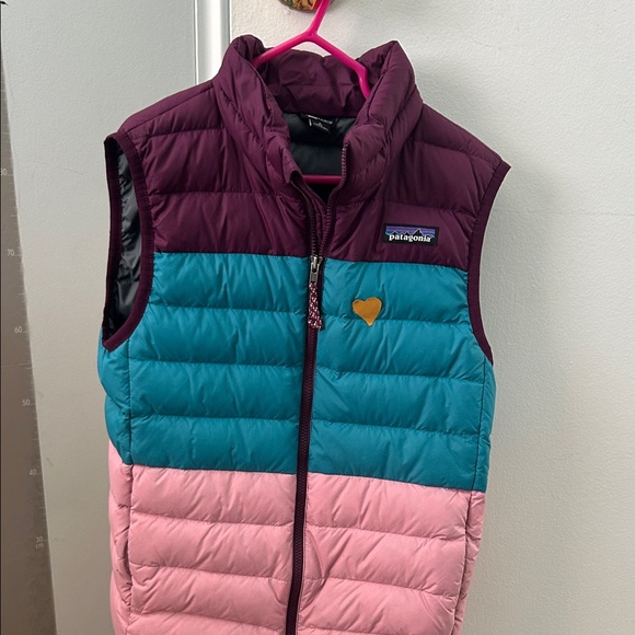 Patagonia Maroon Pink Cyan puffer Vest